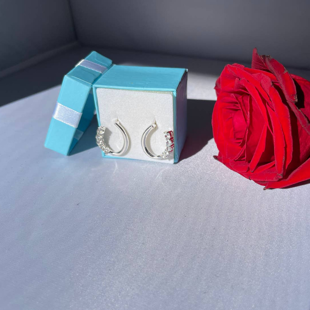 Silver toned and rhinestone pierced earrings NIB‎
